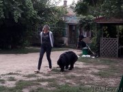 Превью фото № 229418