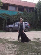 Превью фото № 229424