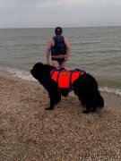 Превью фото № 229442