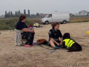 Превью фото № 229453