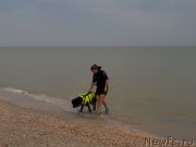 Превью фото № 229464