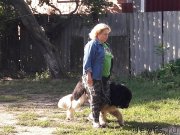 Превью фото № 229555