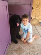 Превью фото № 229612