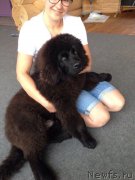 Превью фото № 229613