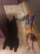 Превью фото № 229616