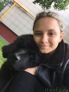 Превью фото № 229621