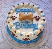 Превью фото № 229640