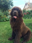 Превью фото № 229690