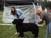 Превью фото № 229695