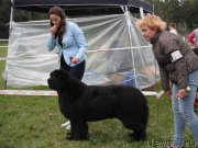 Превью фото № 229696