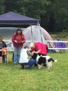 Превью фото № 229701