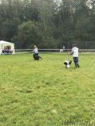 Превью фото № 229702