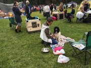 Превью фото № 229705