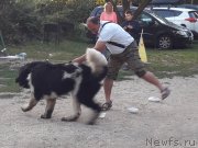 Превью фото № 229719