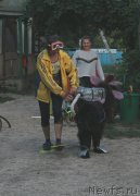 Превью фото № 229731