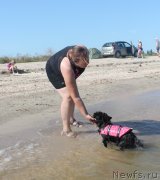 Превью фото № 229748