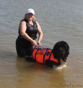 Превью фото № 229760