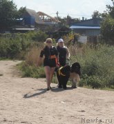 Превью фото № 229771