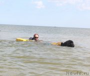 Превью фото № 229773