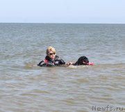 Превью фото № 229778