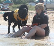 Превью фото № 229779