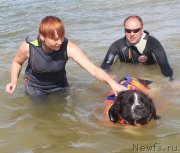 Превью фото № 229782