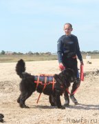 Превью фото № 229786