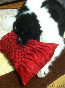 Превью фото № 229802