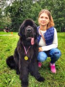 Превью фото № 229814