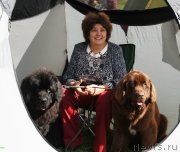 Превью фото № 229824