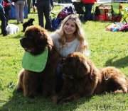 Превью фото № 229839