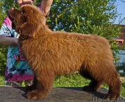 Превью фото № 229847