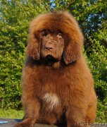 Превью фото № 229848