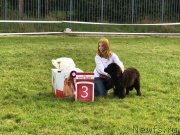 Превью фото № 229863