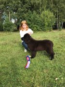 Превью фото № 229864