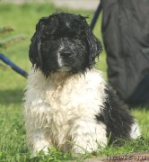 Превью фото № 229883