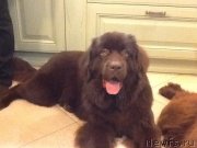 Превью фото № 229931