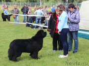 Превью фото № 229945