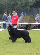 Превью фото № 229952