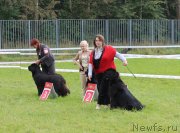 Превью фото № 229956