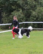 Превью фото № 229958