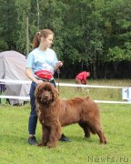 Превью фото № 229967