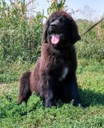 Превью фото № 229992