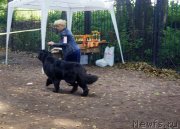 Превью фото № 230029