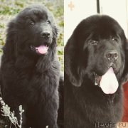 Превью фото № 230042