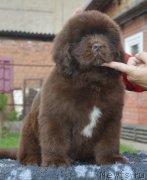 Превью фото № 230107