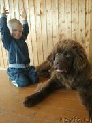 Превью фото № 230128