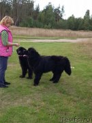 Превью фото № 230145