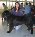 Превью фото № 23015