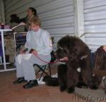 Превью фото № 23019